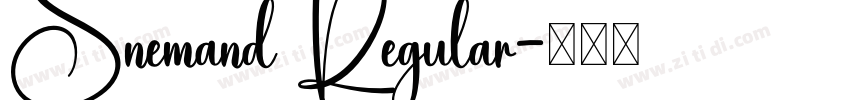 Snemand Regular字体转换